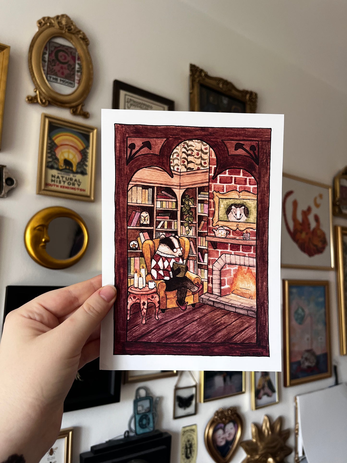 Badger in a snug prints