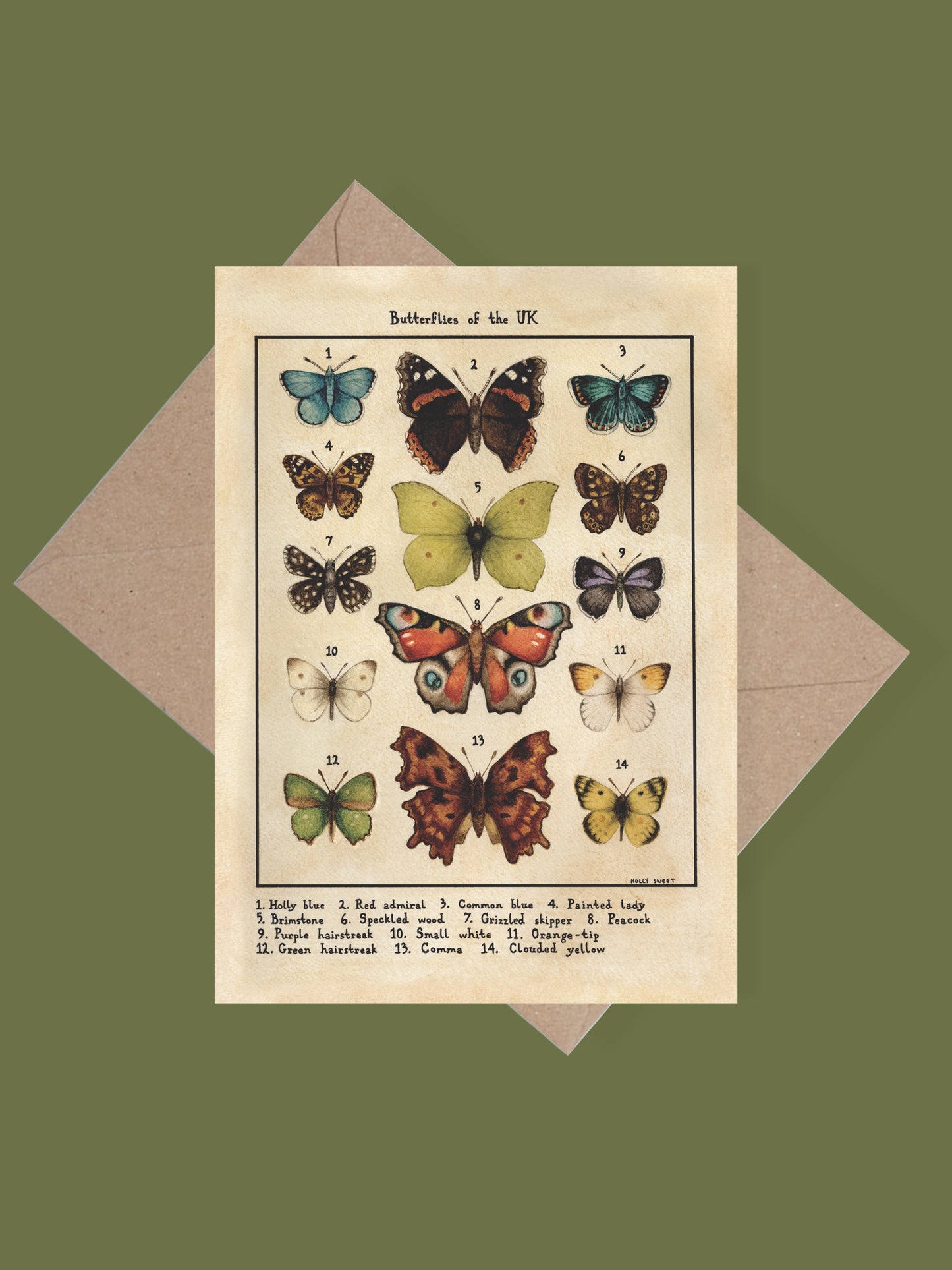 Butterflies of the UK greetings card