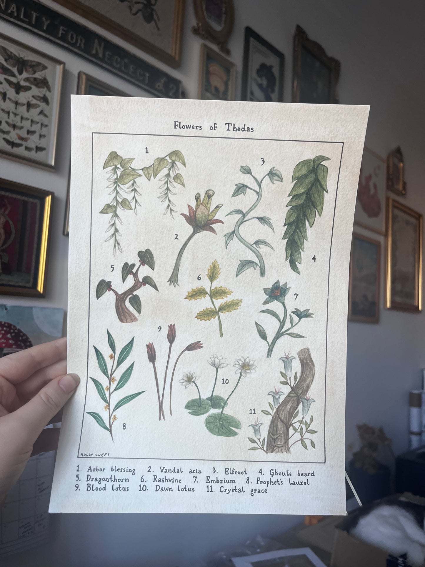 Original Flowers of Thedas watercolour painting