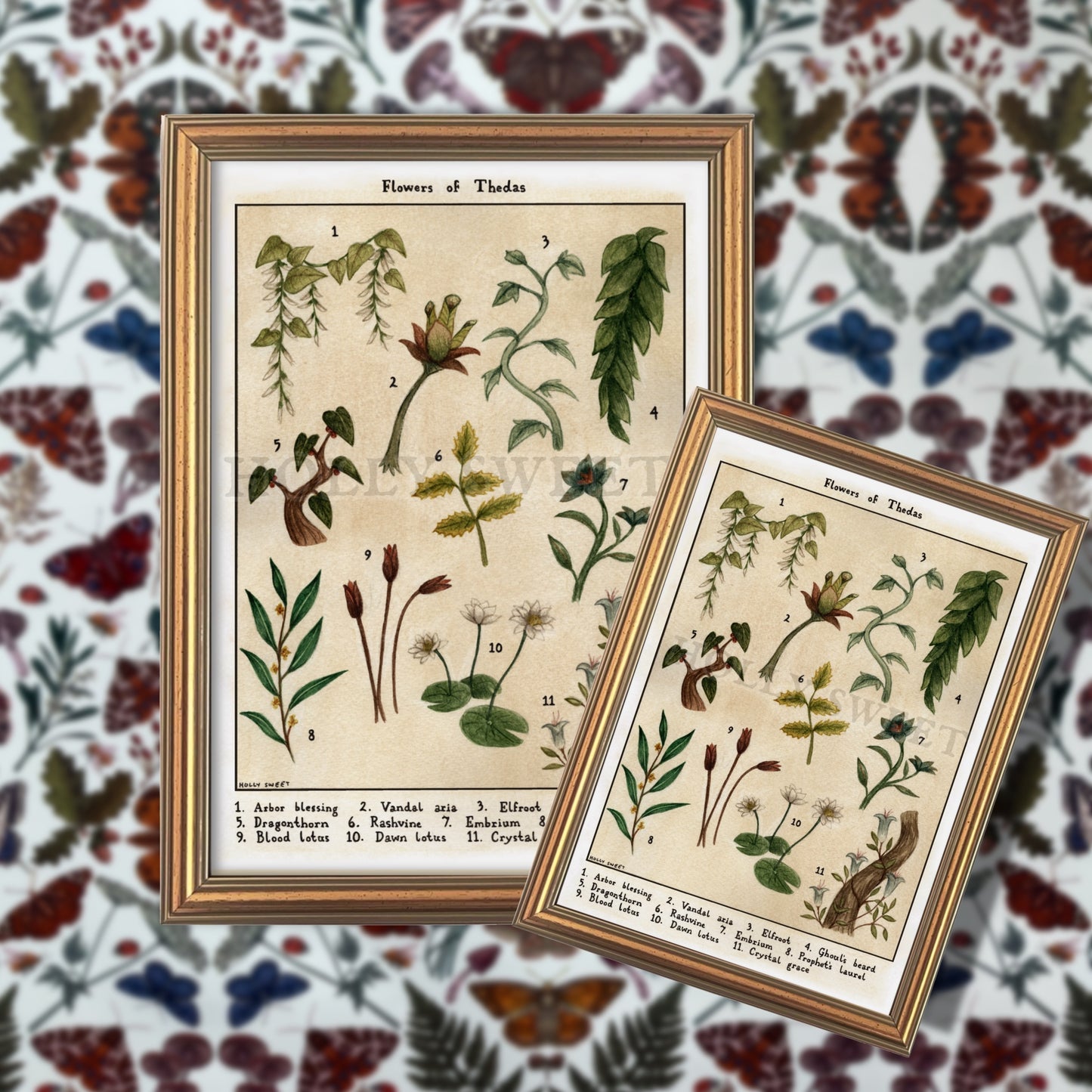 Flowers of Thedas vintage flora print