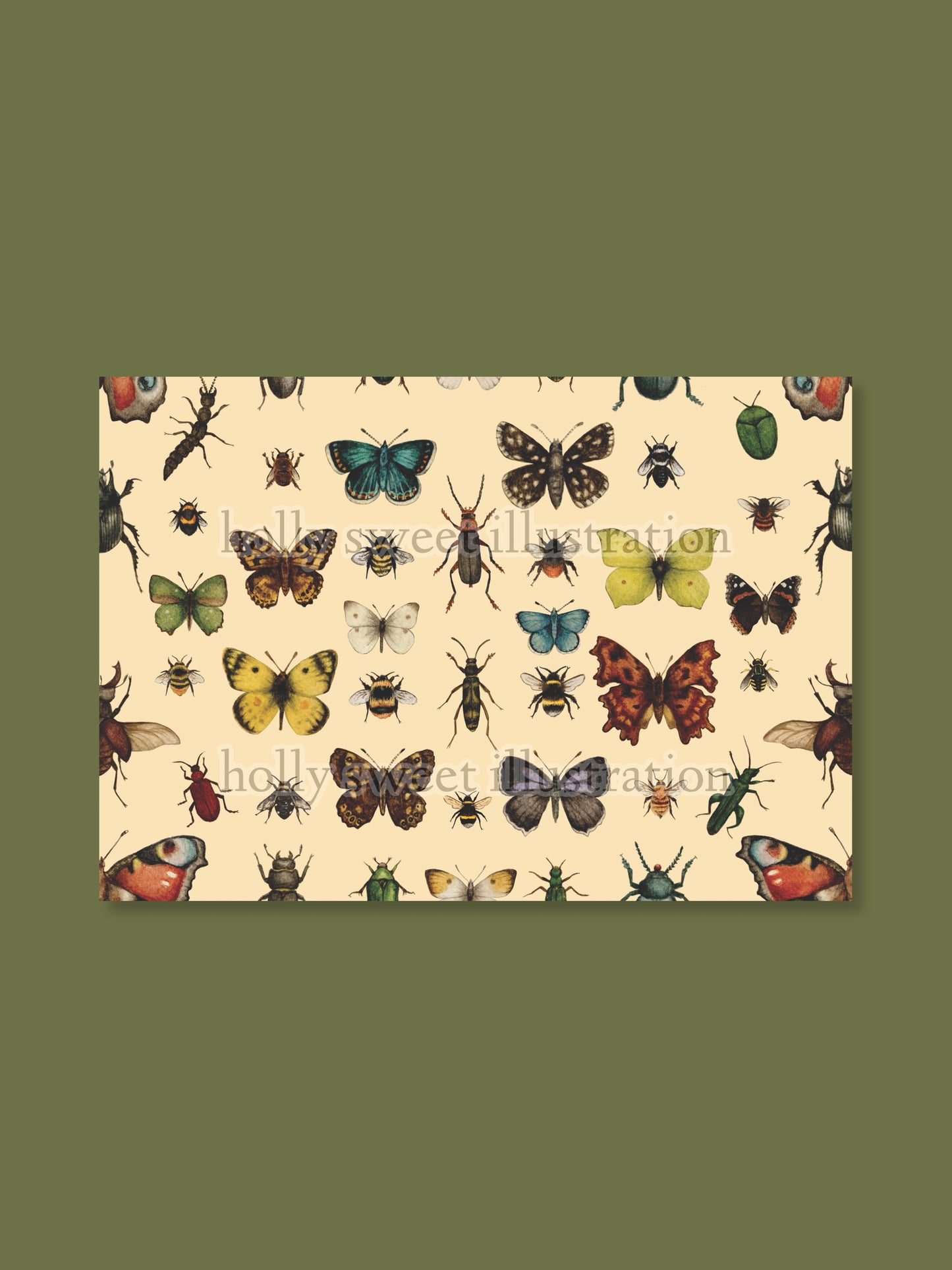 Insects of the UK wrapping paper sheets