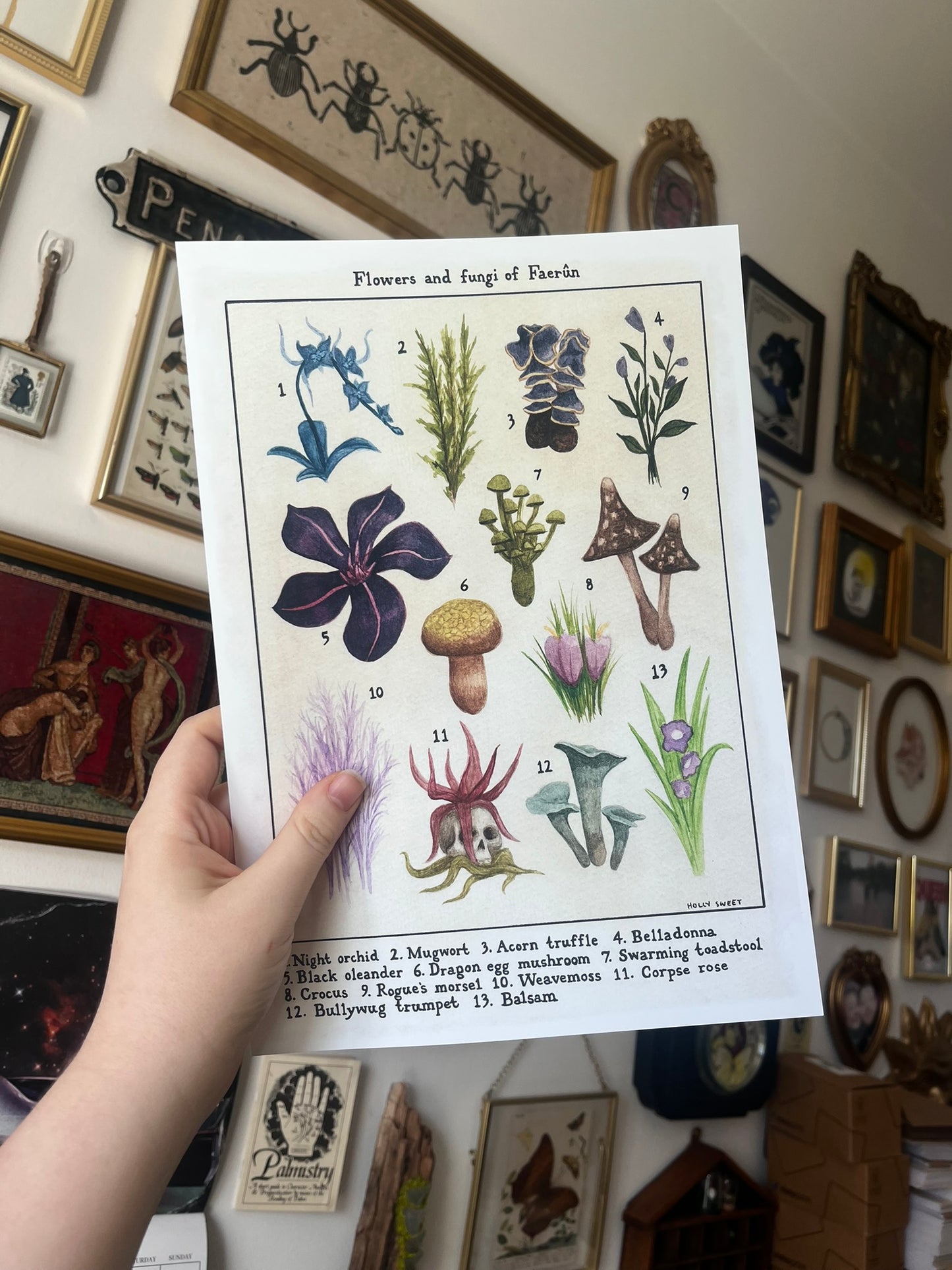 Flowers and fungi of Faerûn vintage flora print