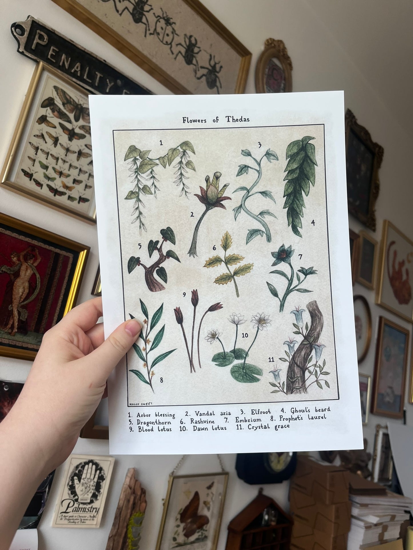 Flowers of Thedas vintage flora print