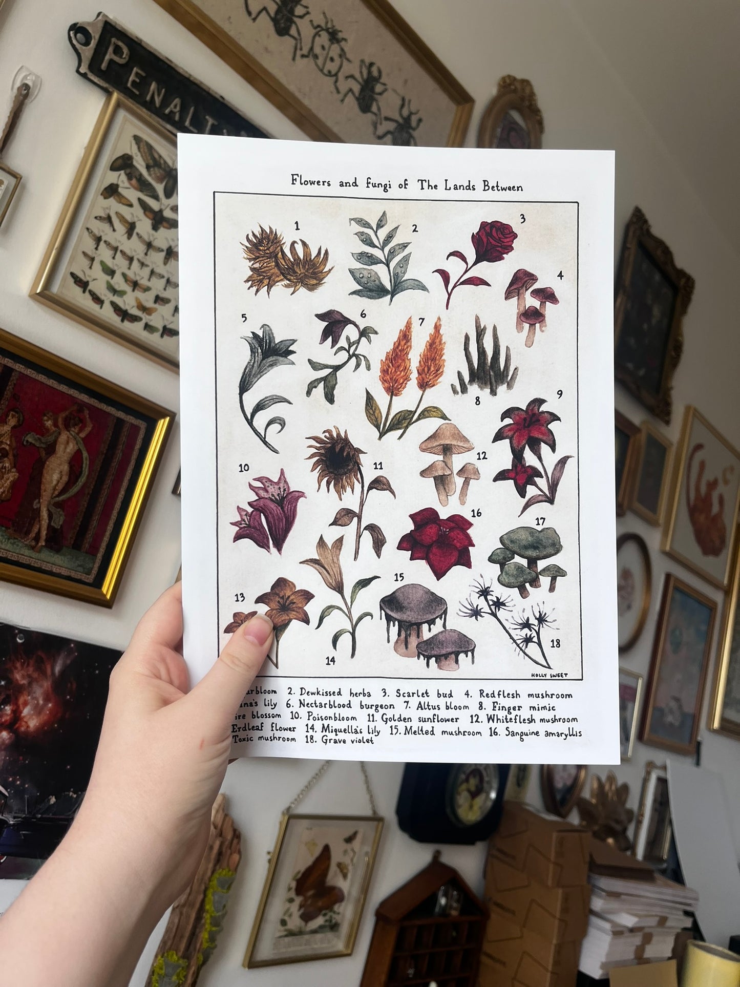 Flowers and fungi of The Lands Between Elden Ring vintage flora print