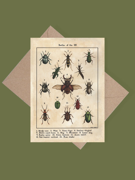 Beetles of the UK greetings card