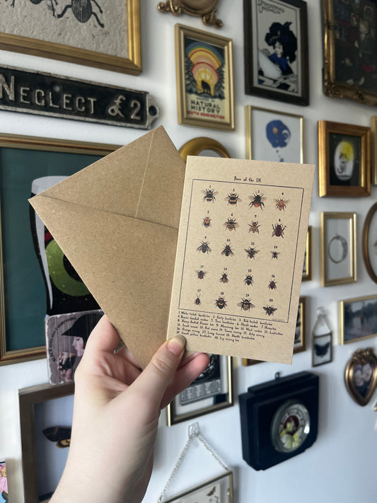 Bees of the UK greetings card