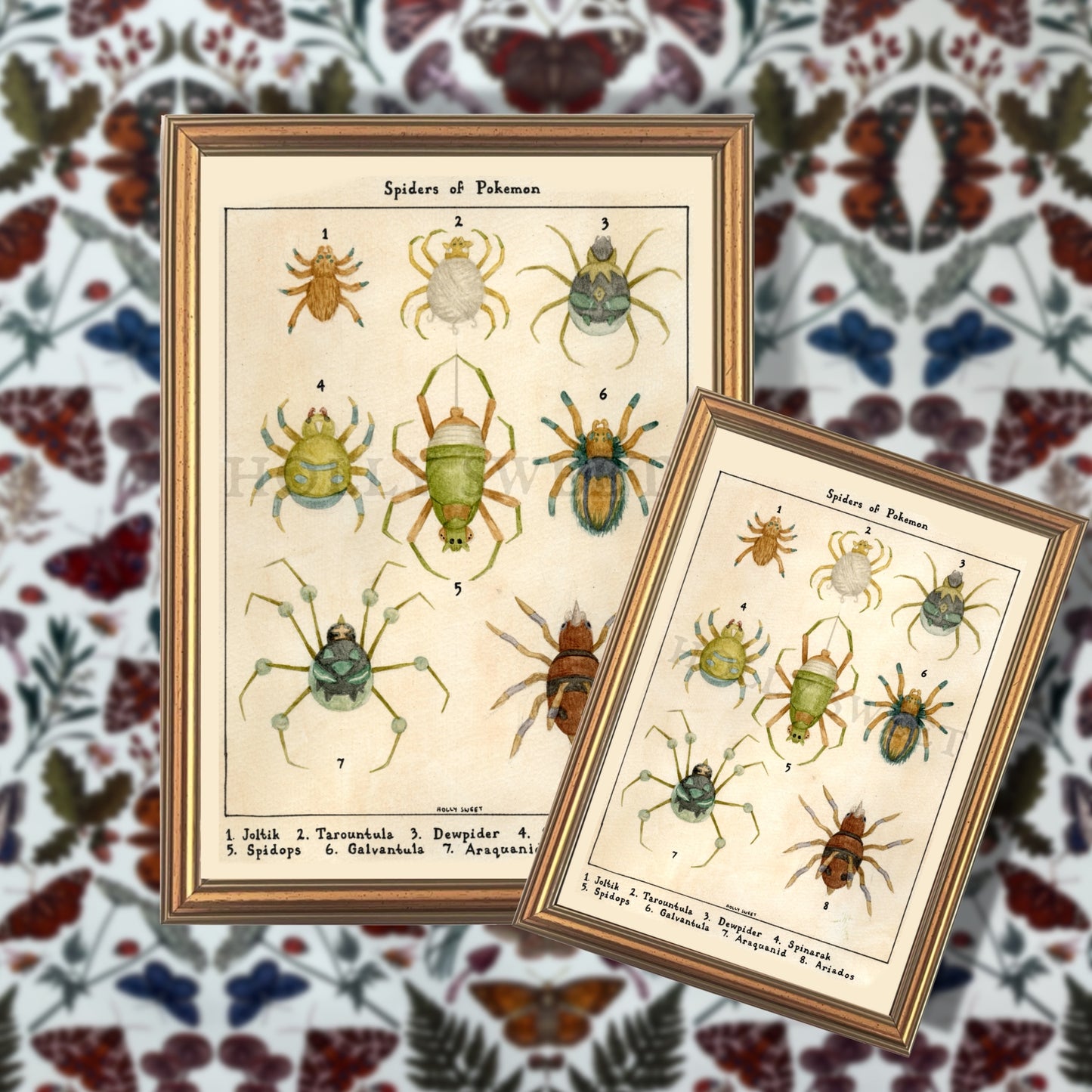 Spiders of Pokemon vintage entomology print