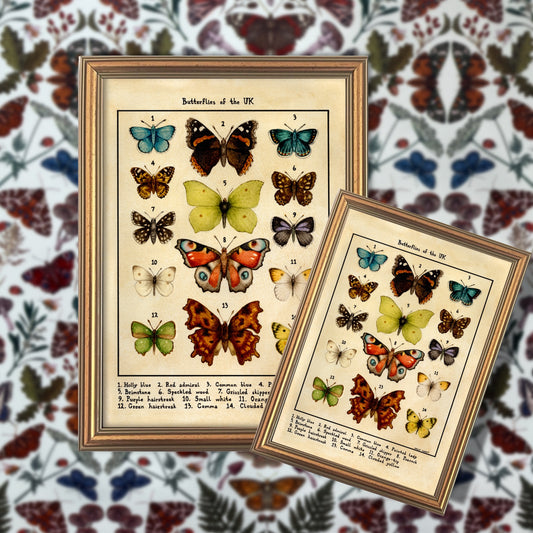 Butterflies of the UK vintage botanical print