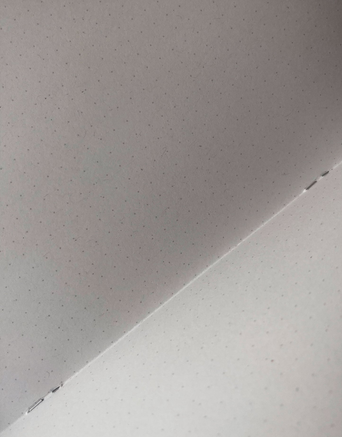 Stuff that’s been buggin’ me staple-bound notebook