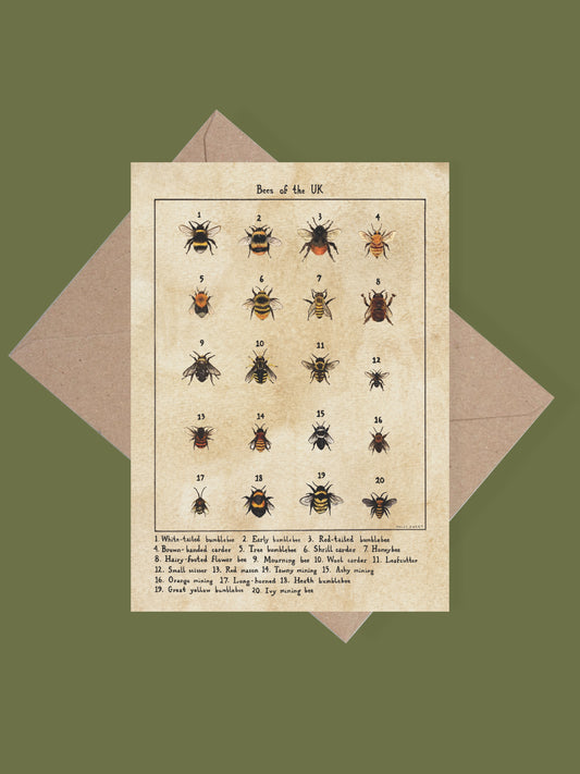 Bees of the UK greetings card