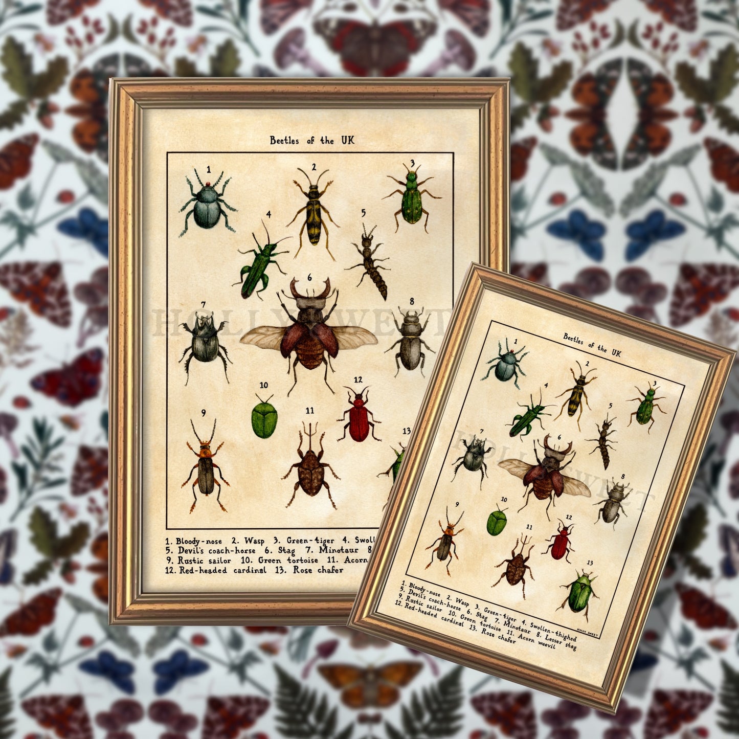 Beetles of the UK vintage botanical print