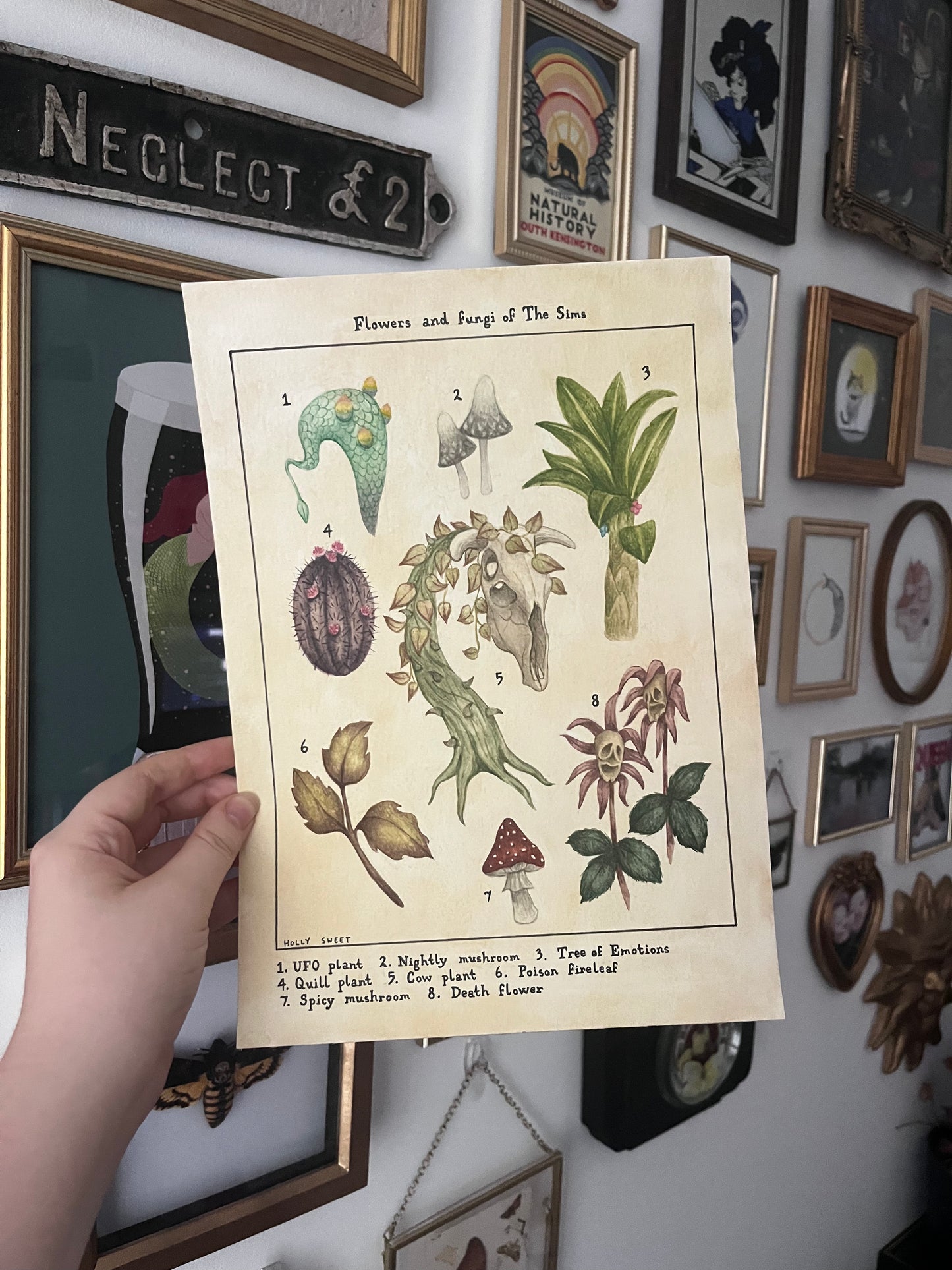 Original Flowers and fungi of The Sims watercolour painting