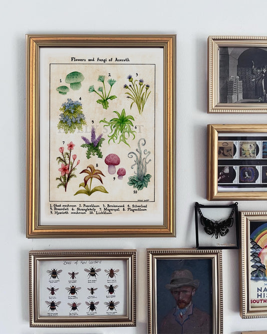 Original Flowers and fungi of Azeroth watercolour painting