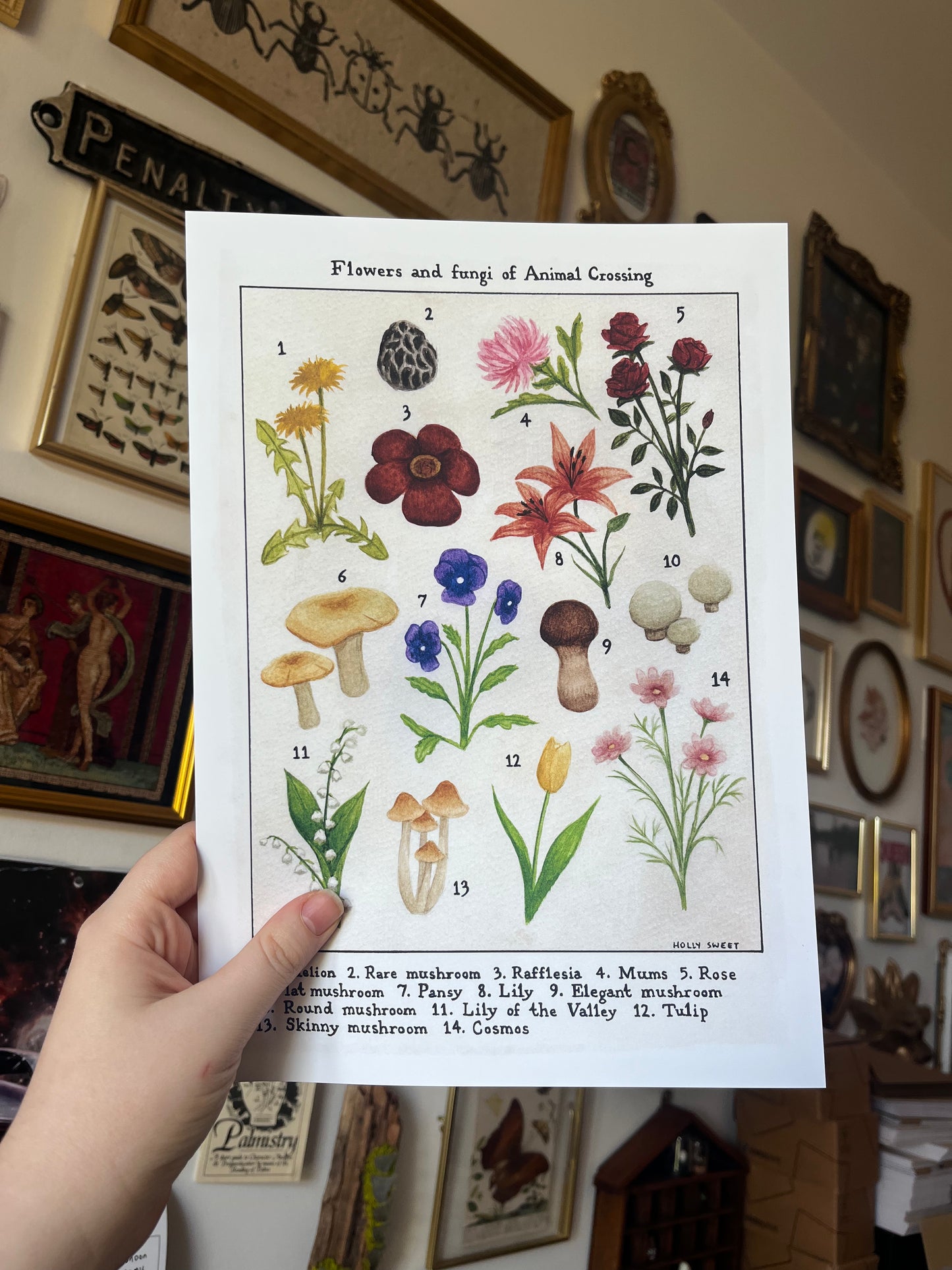 Flowers and fungi of Animal Crossing vintage flora print