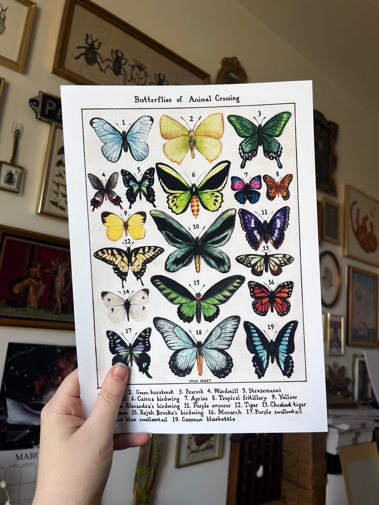 Butterflies of Animal Crossing vintage entomology print