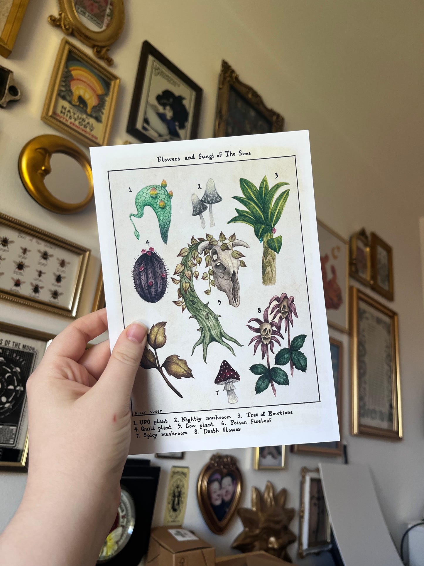 Flowers and fungi of The Sims vintage flora print
