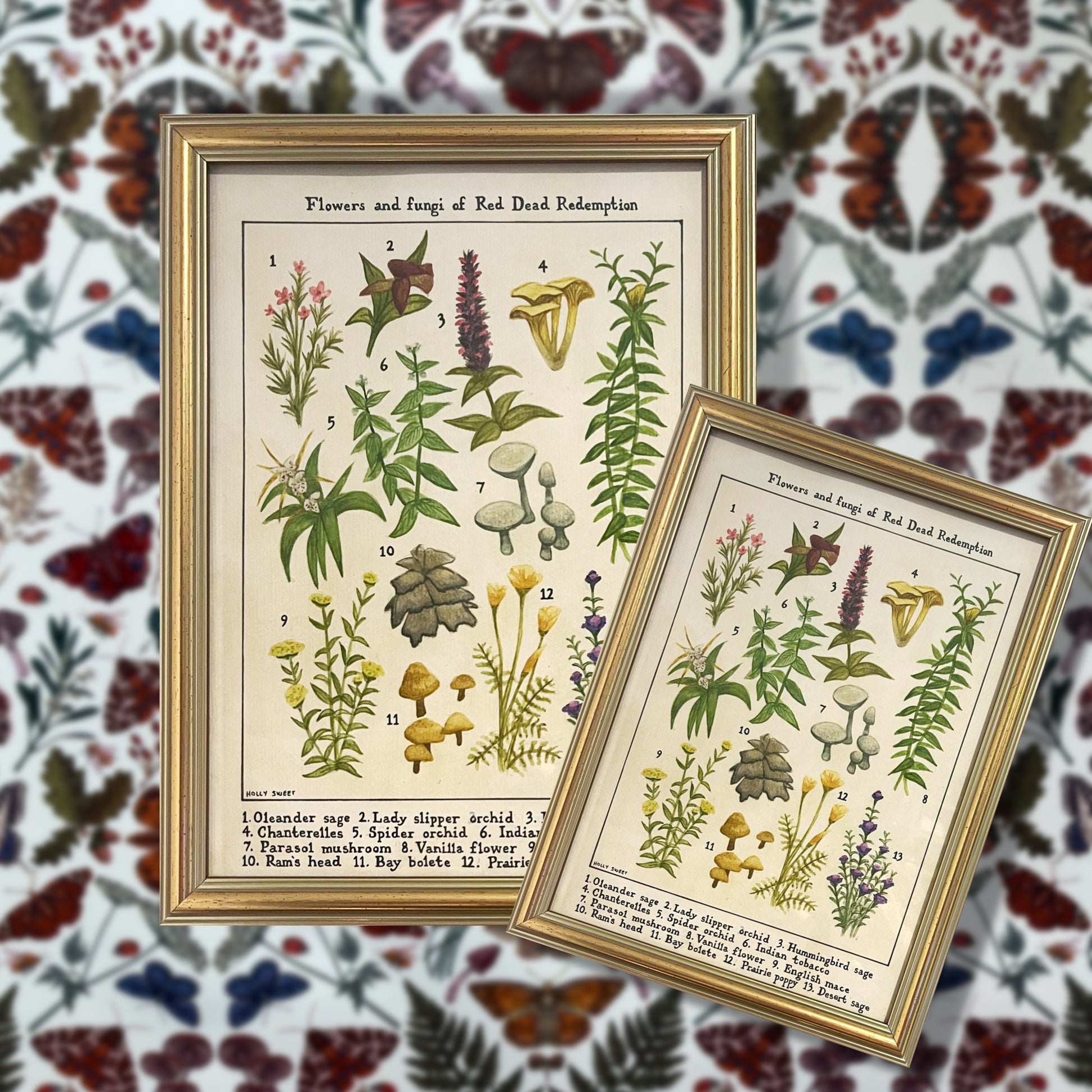 Flowers and fungi of Red Dead Redemption vintage flora print A4