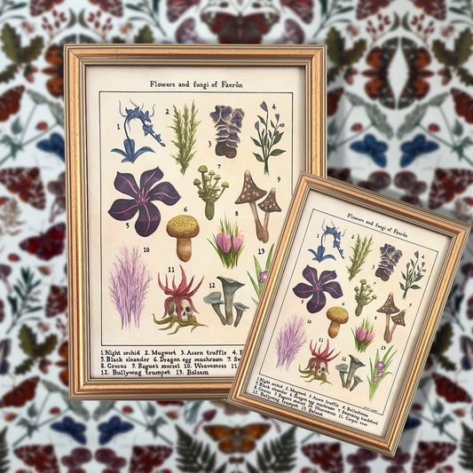 Flowers and fungi of Faerûn vintage flora print