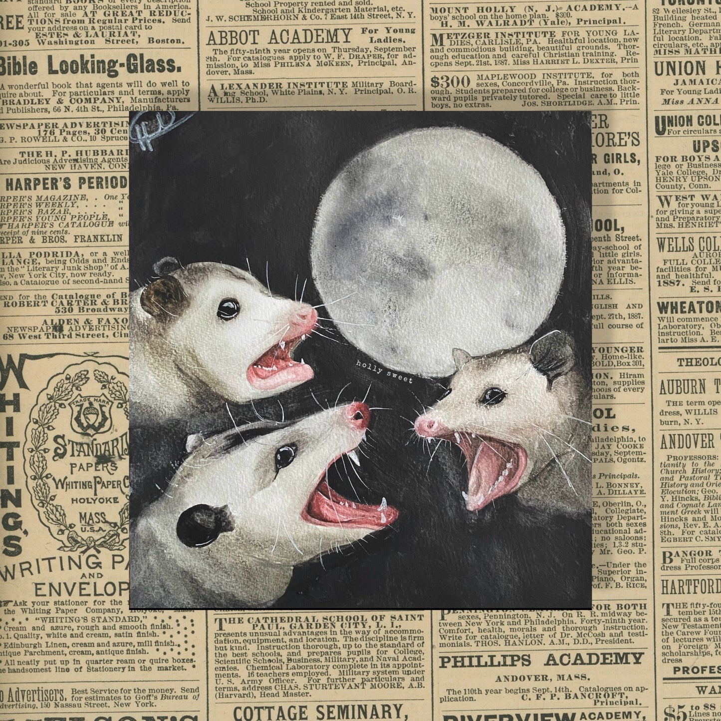 Possums howling at moon prints