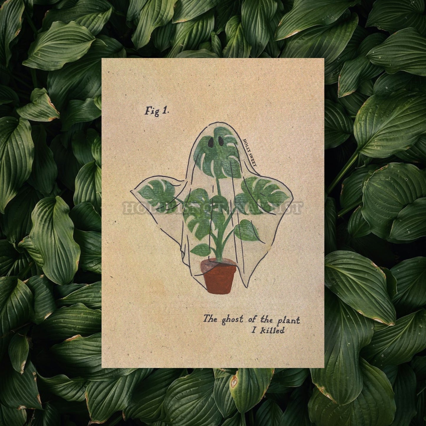 The ghost of the plant I killed prints