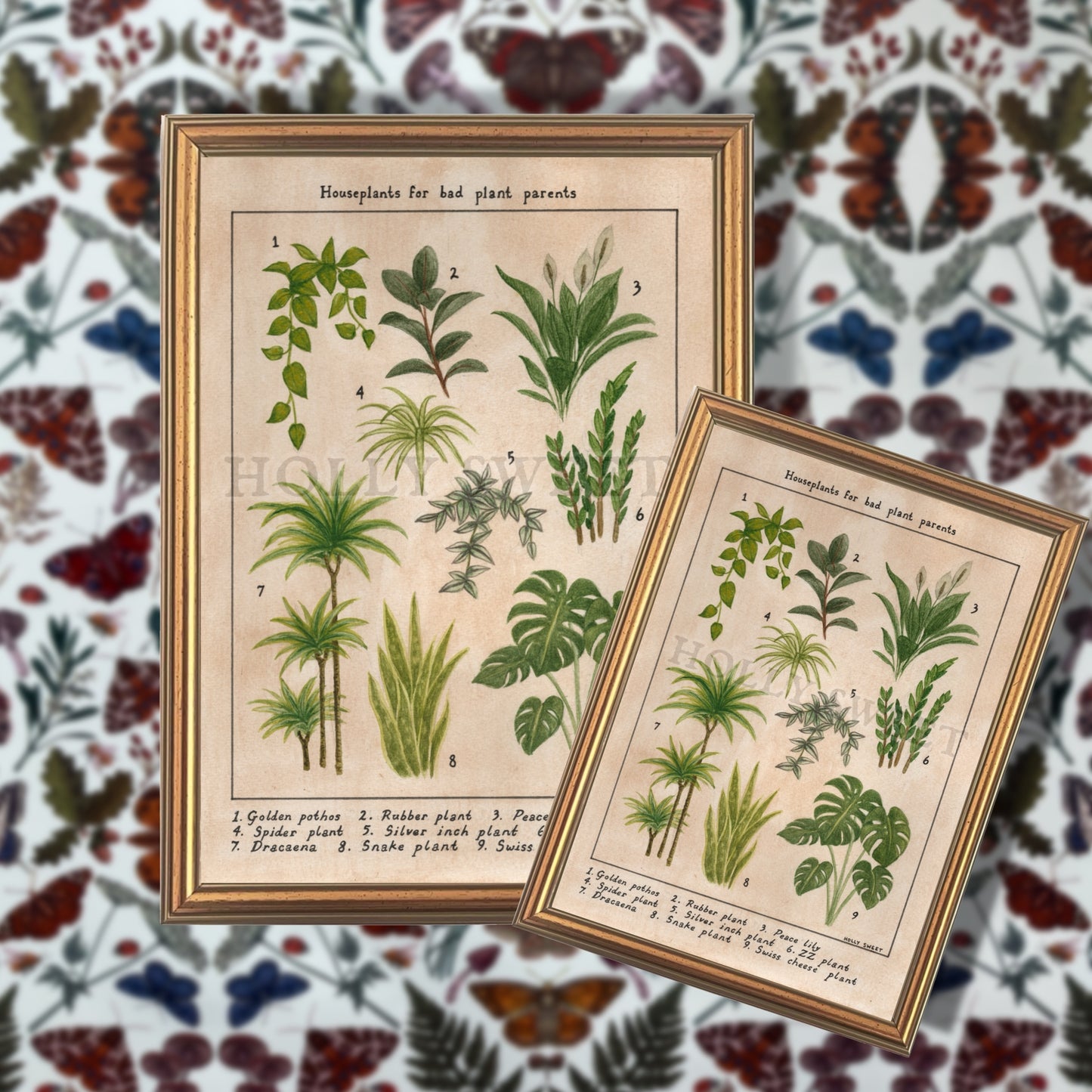 Houseplants for bad plant parents vintage botanical print