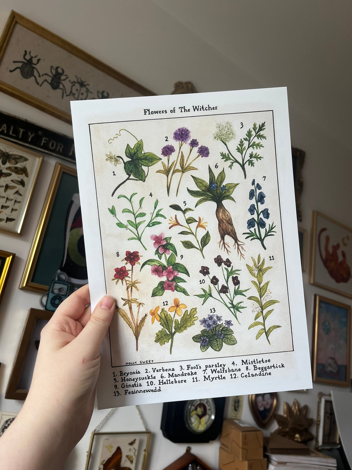 Flowers of The Witcher vintage flora print