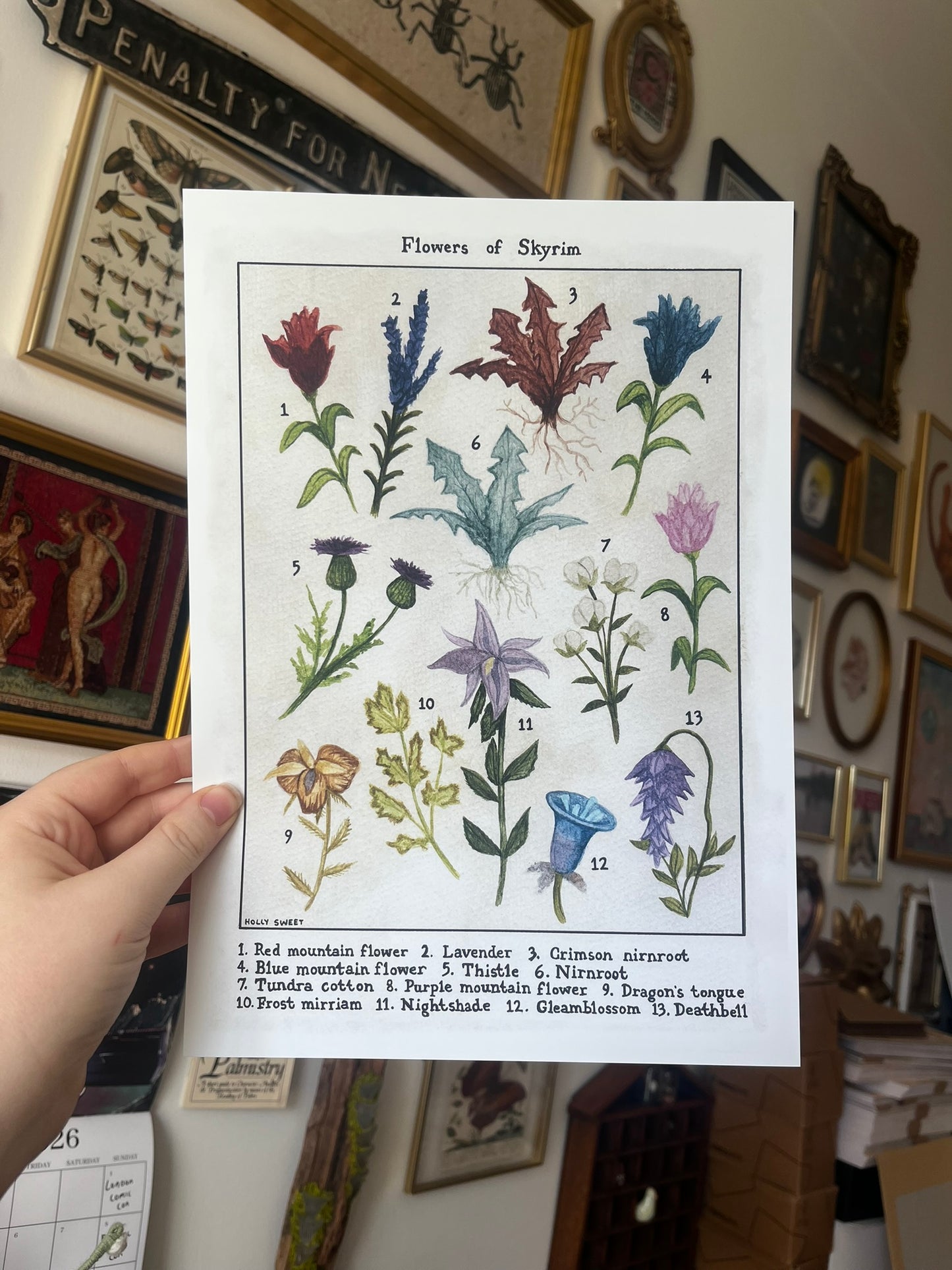 Flowers of Skyrim vintage flora print