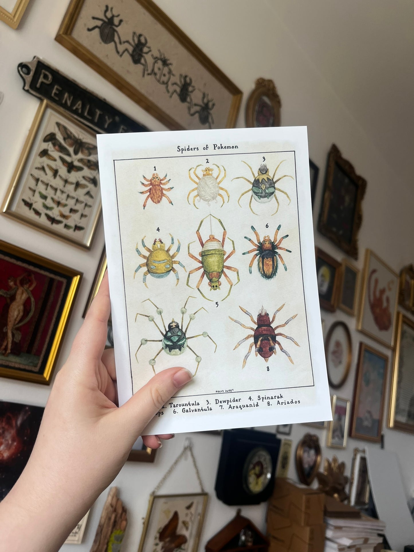 Spiders of Pokemon vintage entomology print